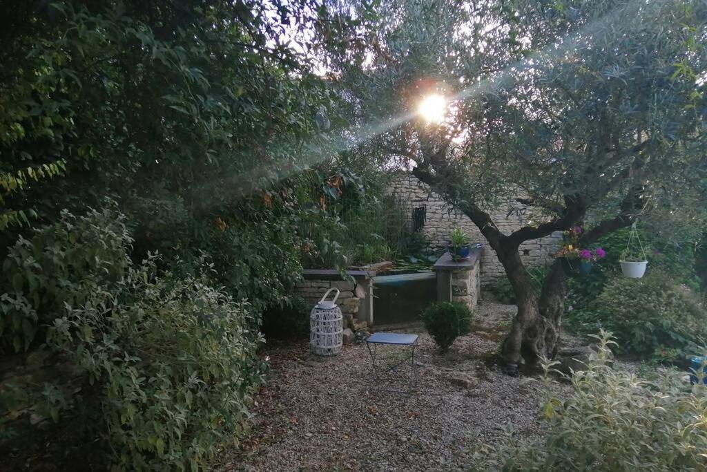 La Jolie Parenthese Daire Saint-Sauveur-d'Aunis Dış mekan fotoğraf